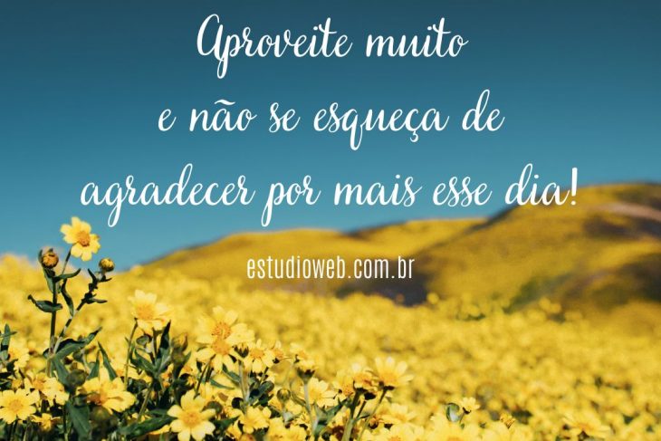 Boa Tarde